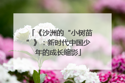 《沙洲的“小树苗”》：新时代中国少年的成长缩影