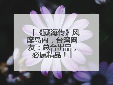 《藏海传》风靡岛内，台湾网友：总台出品，必属精品！
