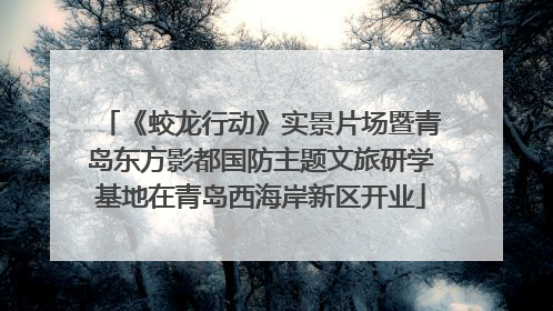 《蛟龙行动》实景片场暨青岛东方影都国防主题文旅研学基地在青岛西海岸新区开业