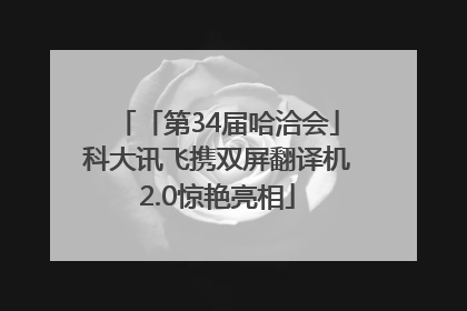 「第34届哈洽会」科大讯飞携双屏翻译机2.0惊艳亮相