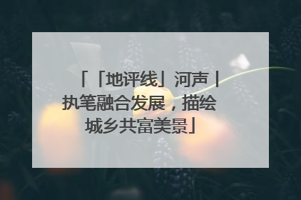 「地评线」河声丨执笔融合发展，描绘城乡共富美景