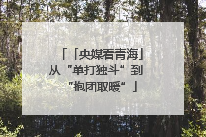 「央媒看青海」从“单打独斗”到“抱团取暖”