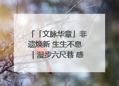 「文脉华章」非遗焕新 生生不息｜漫步六尺巷 感受礼让文化浸润的“巷”往生活
