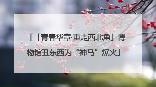 「青春华章·重走西北角」博物馆丑东西为“神马”爆火