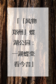 「风物郑州」蝶湖公园：一湖蝶变看今昔