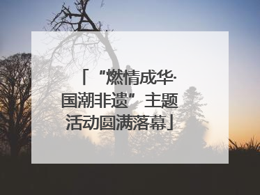“燃情成华·国潮非遗”主题活动圆满落幕
