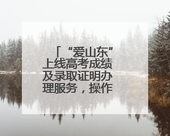 “爱山东”上线高考成绩及录取证明办理服务，操作指南来了→