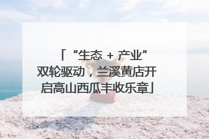 “生态 + 产业”双轮驱动，兰溪黄店开启高山西瓜丰收乐章