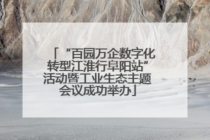“百园万企数字化转型江淮行阜阳站”活动暨工业生态主题会议成功举办