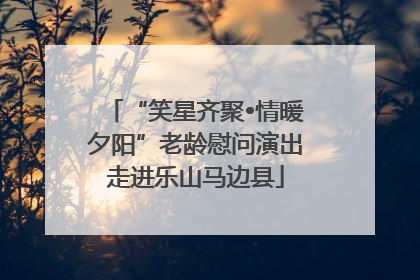 “笑星齐聚•情暖夕阳”老龄慰问演出走进乐山马边县