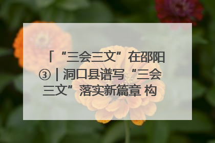“三会三文”在邵阳③｜洞口县谱写“三会三文”落实新篇章 构建协同联动大格局