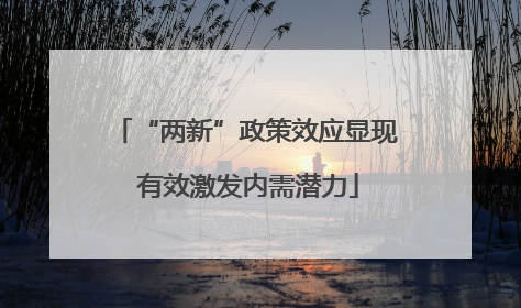 “两新”政策效应显现 有效激发内需潜力
