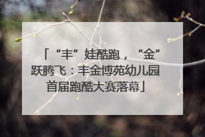 “丰”娃酷跑，“金”跃腾飞：丰金博苑幼儿园首届跑酷大赛落幕