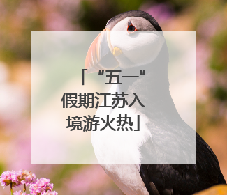 “五一”假期江苏入境游火热
