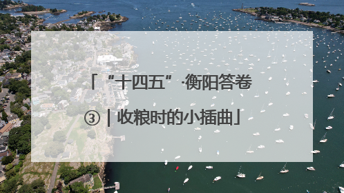 “十四五”·衡阳答卷③｜收粮时的小插曲