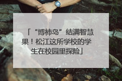 “博柿岛”结满智慧果！松江这所学校的学生在校园里探险