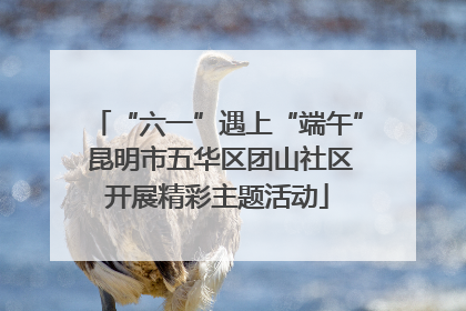 “六一”遇上“端午” 昆明市五华区团山社区开展精彩主题活动
