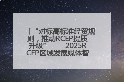 “对标高标准经贸规则，推动RCEP提质升级”——2025RCEP区域发展媒体智库论坛举行专题对话