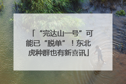 “完达山一号”可能已“脱单”！东北虎种群也有新喜讯