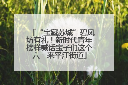 “宝藏苏城”碧凤坊有礼！新时代青年榜样喊话宝子们这个六一来平江街道
