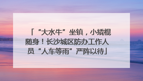 “大水牛”坐镇，小撬棍随身！长沙城区防办工作人员“人车等雨”严阵以待