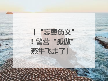 “忘恩负义”！警营“孤傲”燕隼飞走了