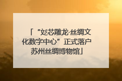 “彣芯雕龙·丝绸文化数字中心”正式落户苏州丝绸博物馆