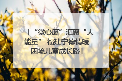 “微心愿”汇聚“大能量” 福建宁德情暖困境儿童成长路