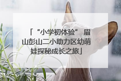 “小学初体验” 眉山彭山二小助力区幼萌娃探秘成长之旅