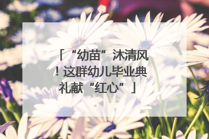 “幼苗”沐清风！这群幼儿毕业典礼献“红心”