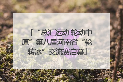 “总汇运动 轮动中原”第八届河南省“轮转冰”交流赛启幕