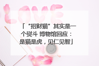 “招财猫”其实是一个熨斗 博物馆回应：是猫是虎，见仁见智