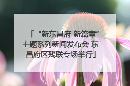 “新东昌府 新篇章”主题系列新闻发布会 东昌府区残联专场举行