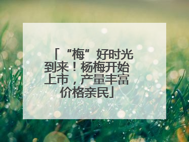 “梅”好时光到来！杨梅开始上市，产量丰富价格亲民