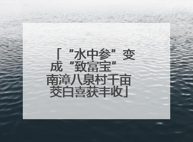 “水中参”变成“致富宝” 南漳八泉村千亩茭白喜获丰收