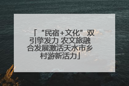 “民宿+文化”双引擎发力 农文旅融合发展激活天水市乡村游新活力