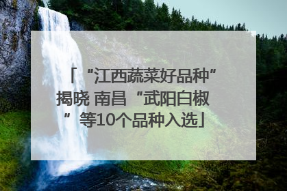 “江西蔬菜好品种”揭晓 南昌“武阳白椒”等10个品种入选