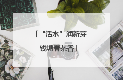 “活水”润新芽 钱塘春茶香