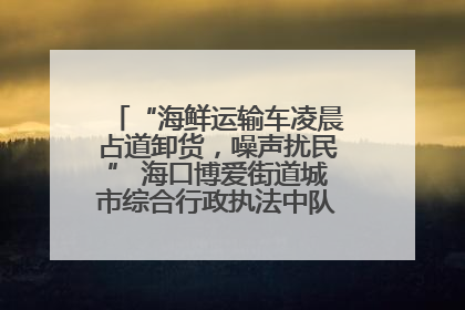 “海鲜运输车凌晨占道卸货，噪声扰民” 海口博爱街道城市综合行政执法中队：将联合交警加强长堤路一带巡逻