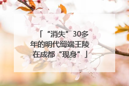 “消失”30多年的明代蜀端王陵在成都“现身”