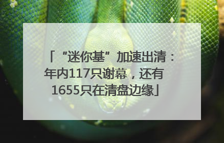 “迷你基”加速出清：年内117只谢幕，还有1655只在清盘边缘