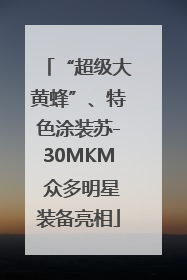 “超级大黄蜂”、特色涂装苏-30MKM 众多明星装备亮相