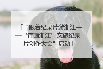 “跟着纪录片游浙江——‘诗画浙江’文旅纪录片创作大会”启动