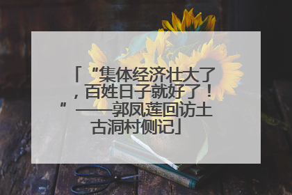 “集体经济壮大了，百姓日子就好了！”——郭凤莲回访土古洞村侧记