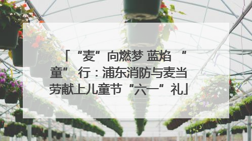 “麦”向燃梦 蓝焰 “童” 行：浦东消防与麦当劳献上儿童节“六一”礼