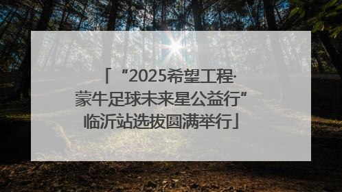 “2025希望工程·蒙牛足球未来星公益行”临沂站选拔圆满举行