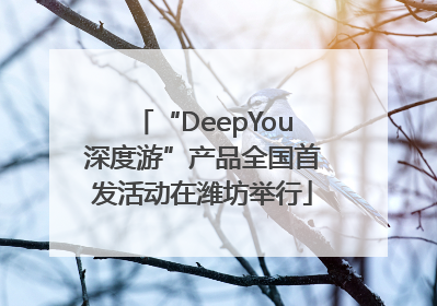 “DeepYou深度游”产品全国首发活动在潍坊举行