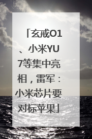 玄戒O1、小米YU7等集中亮相，雷军：小米芯片要对标苹果