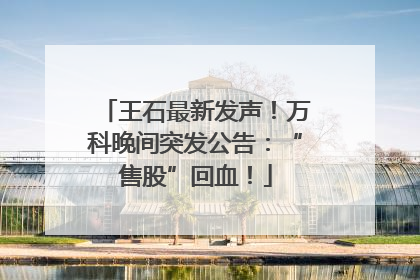 王石最新发声！万科晚间突发公告：“售股”回血！