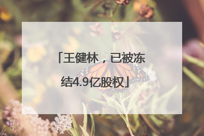 王健林，已被冻结4.9亿股权